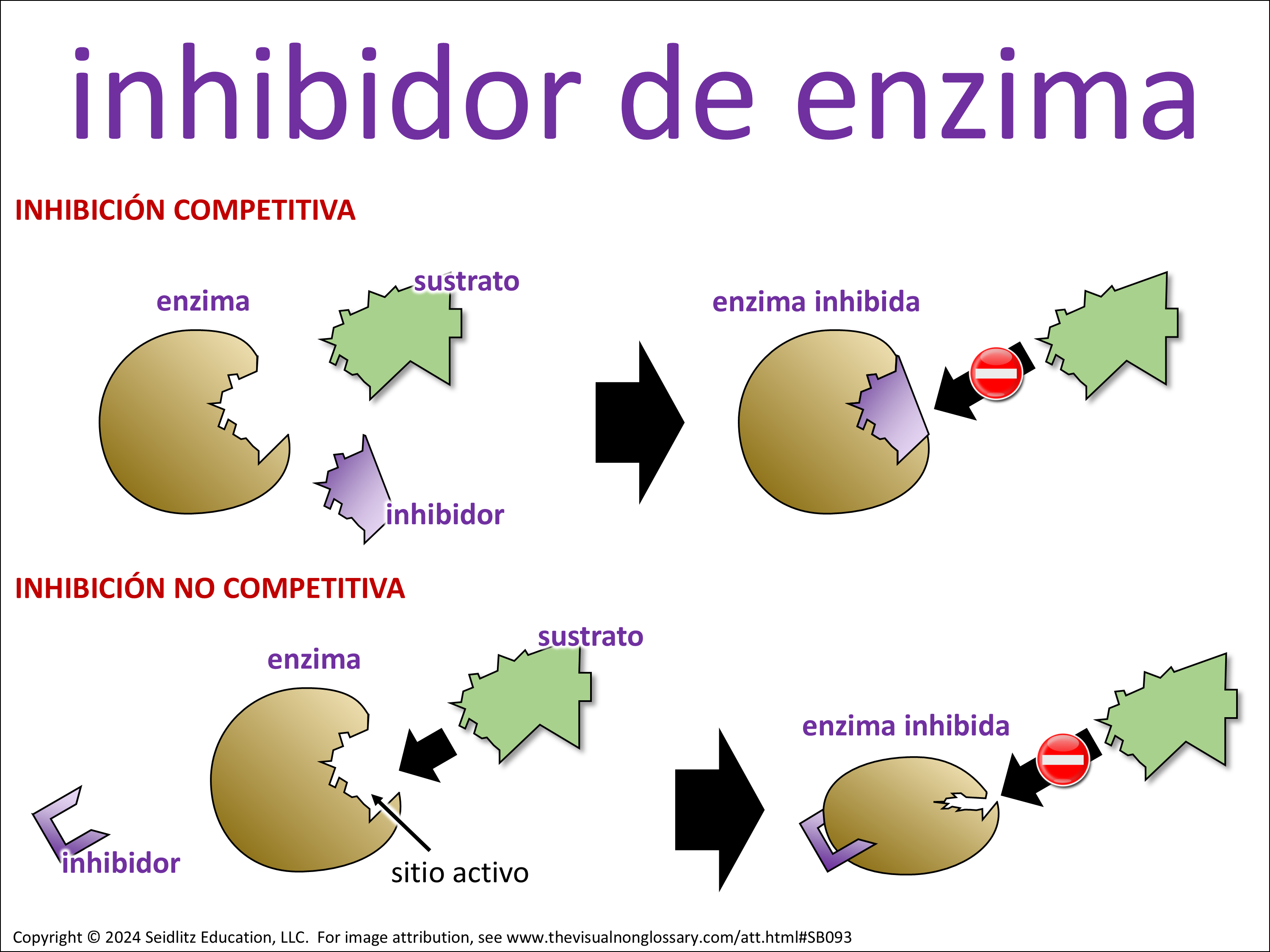 Vocab Visual