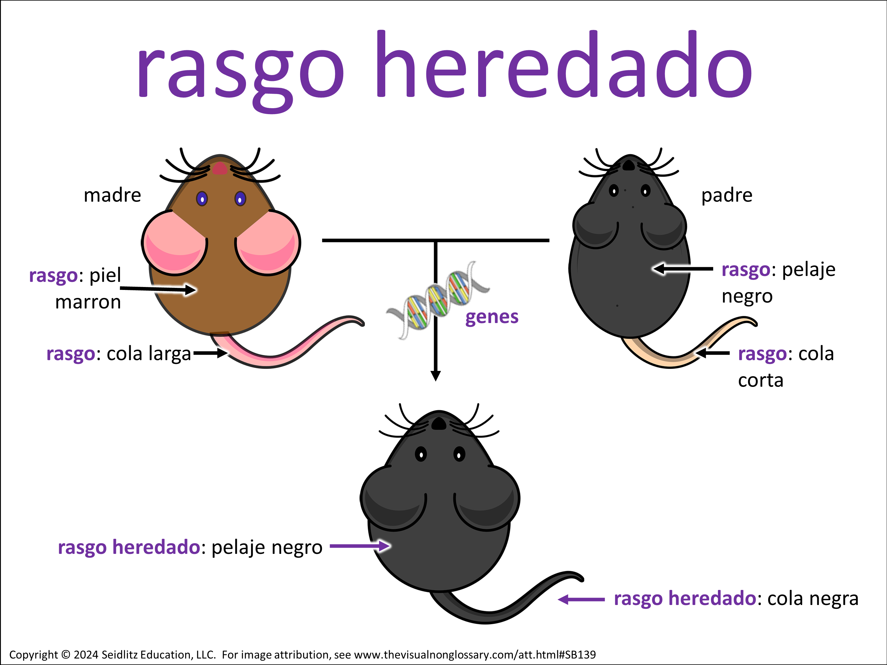 Vocab Visual