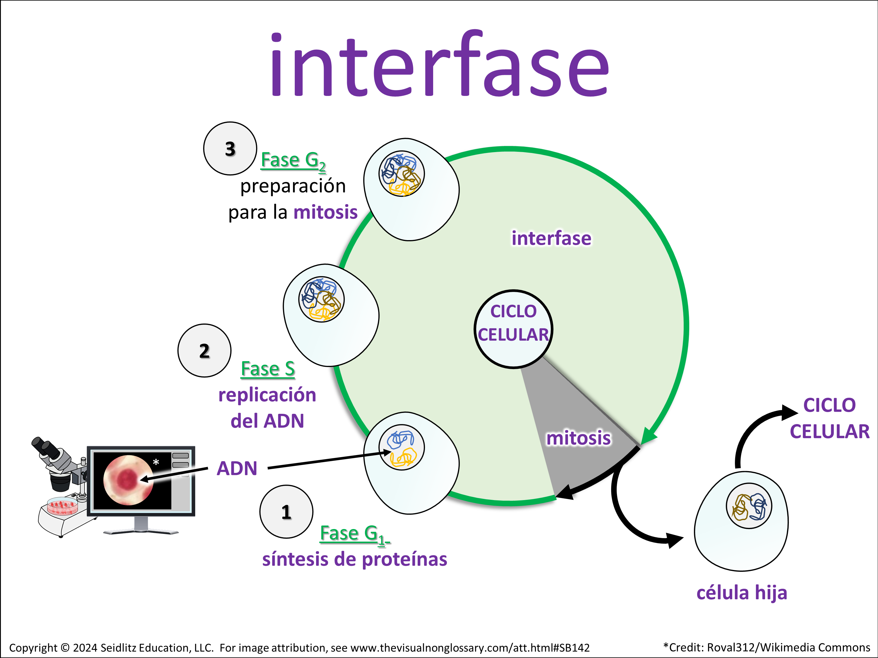 Vocab Visual