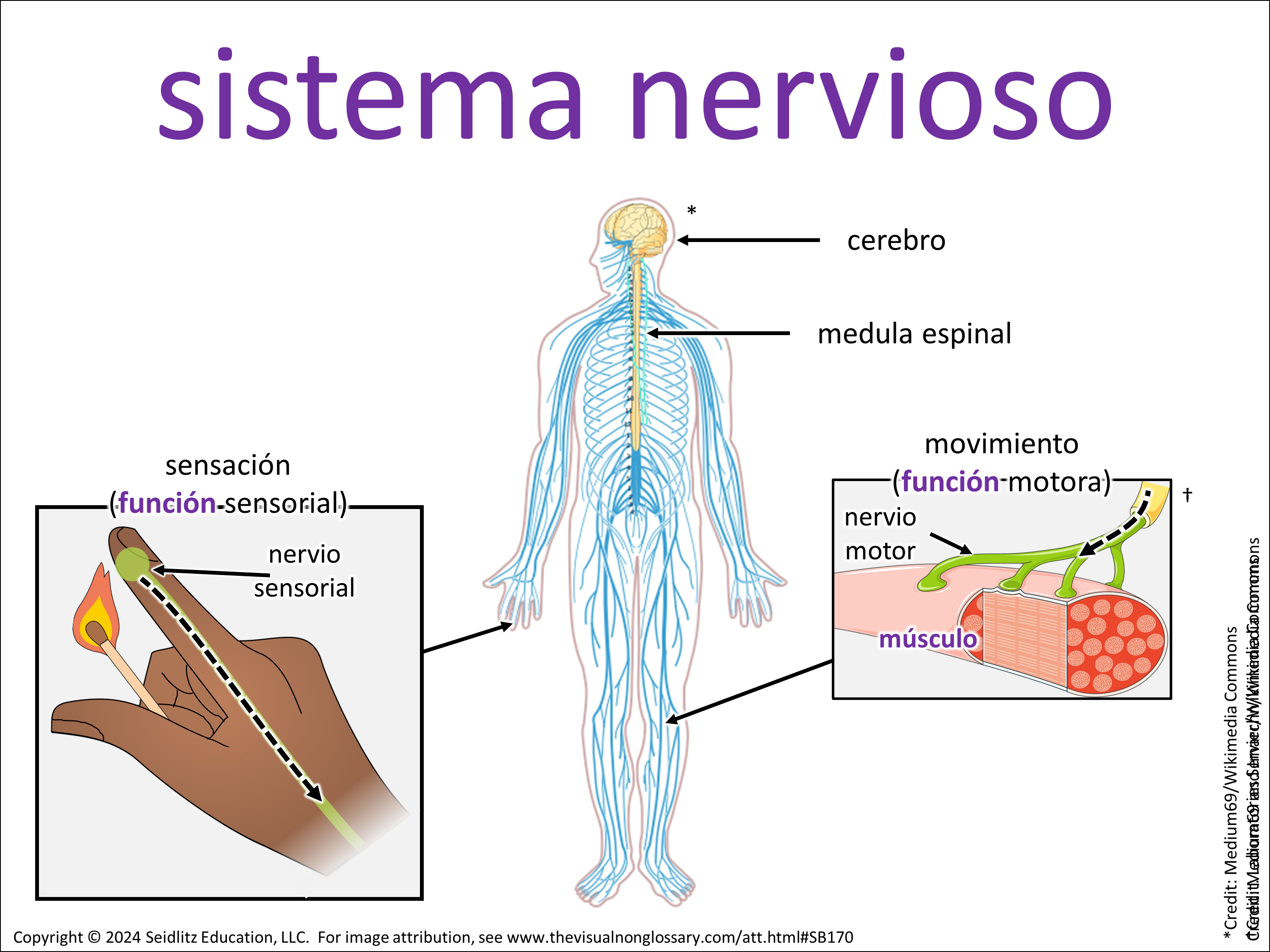 Vocab Visual