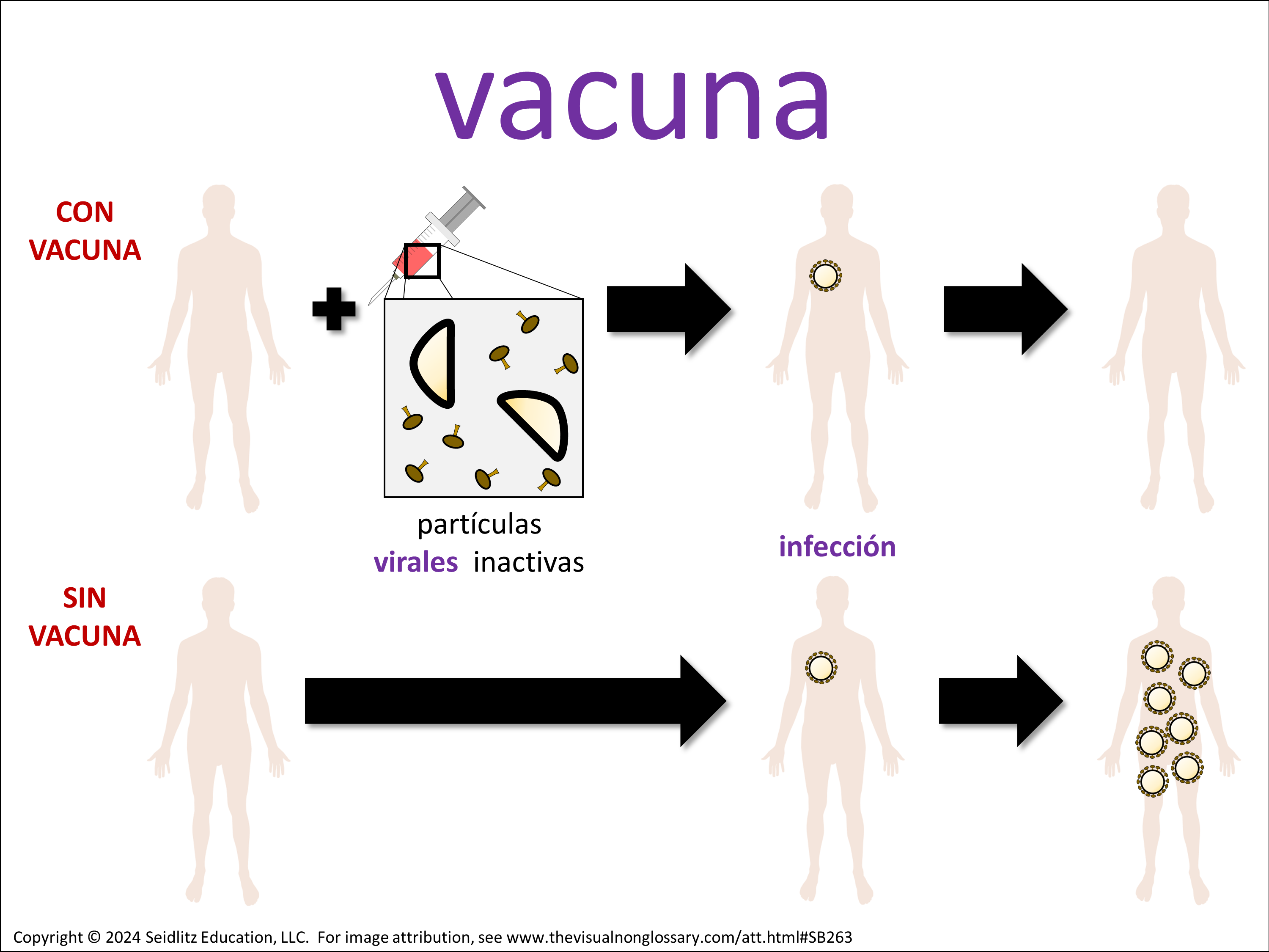 Vocab Visual