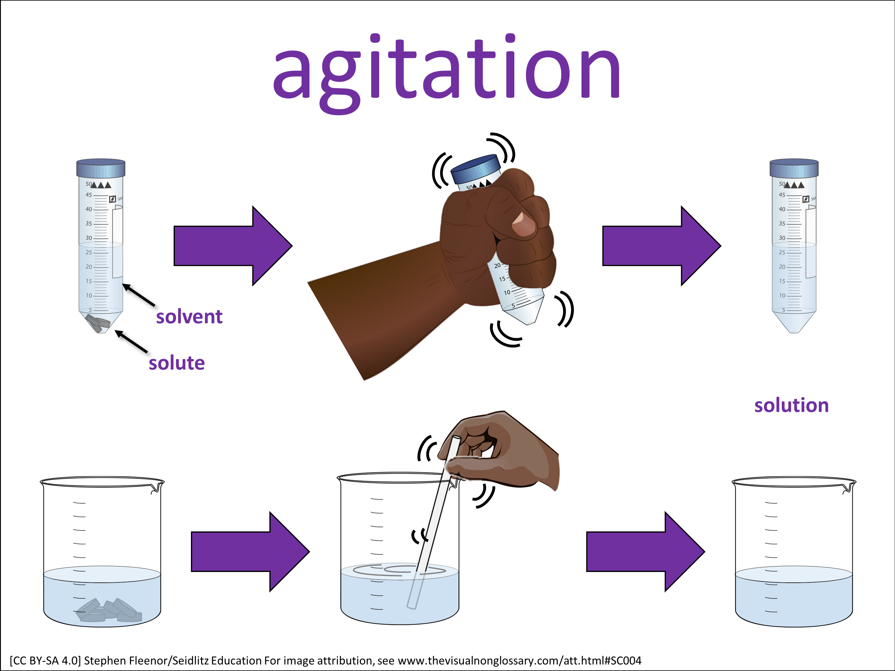 Vocab Visual
