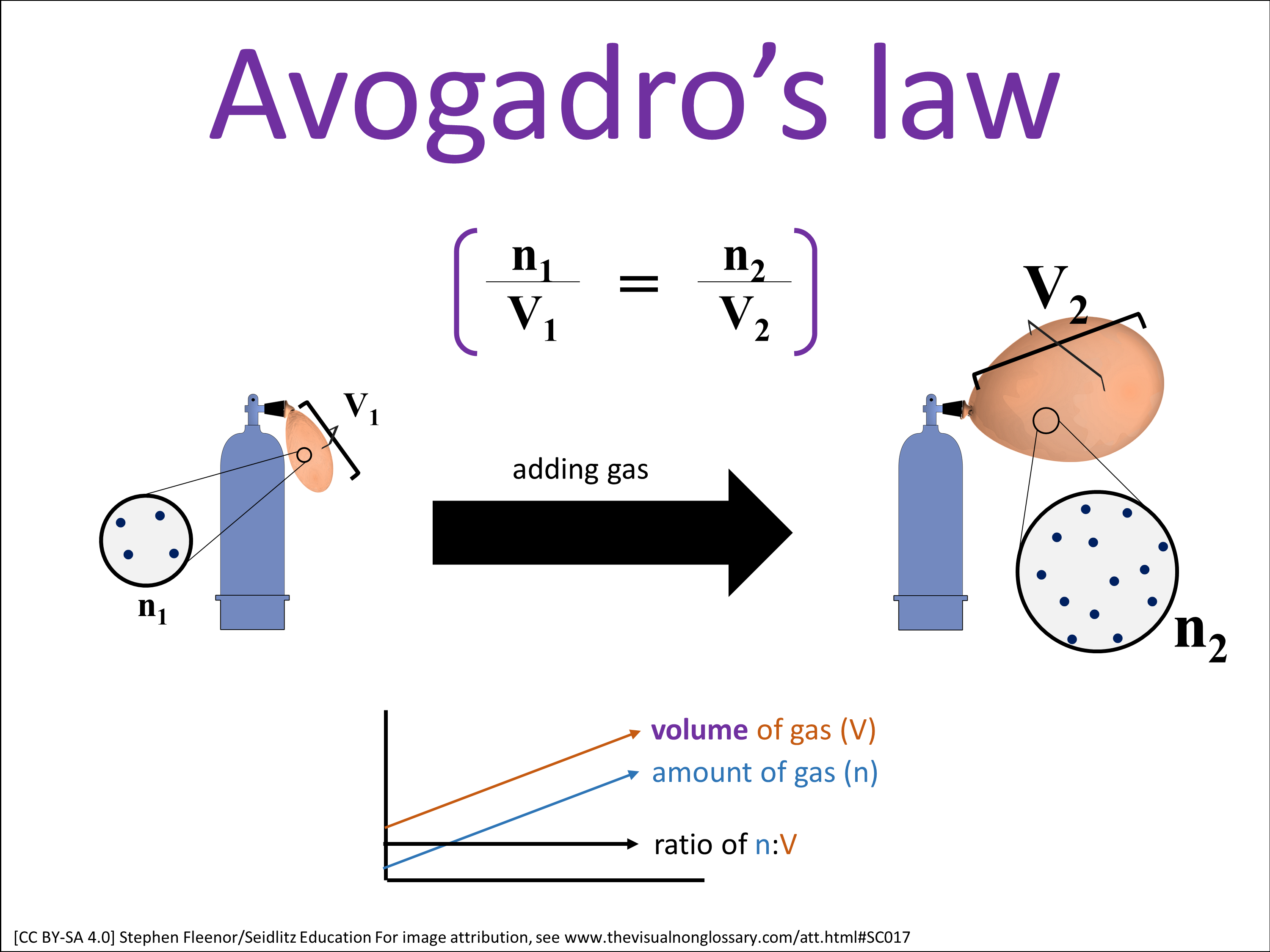 Vocab Visual