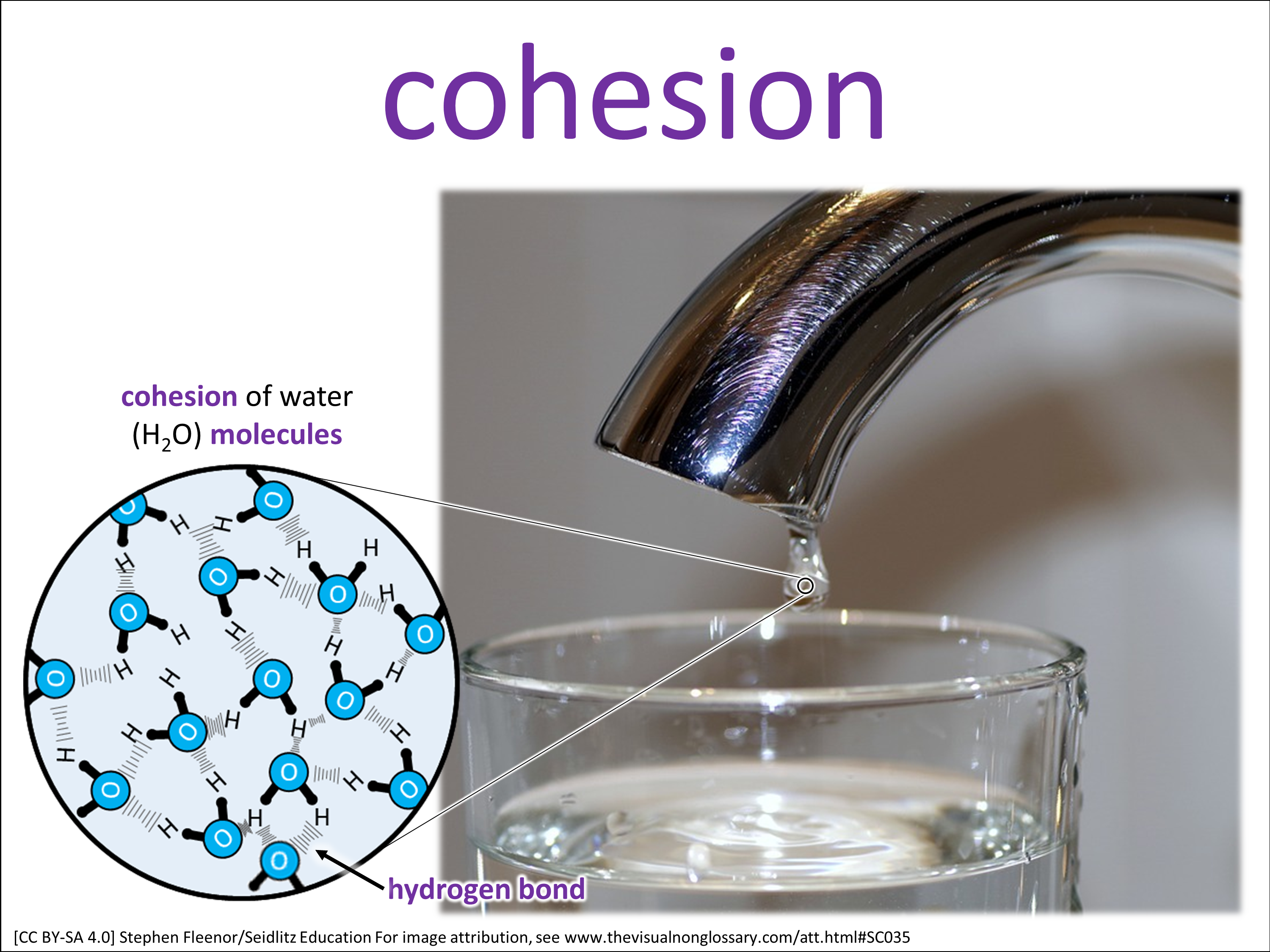 Vocab Visual