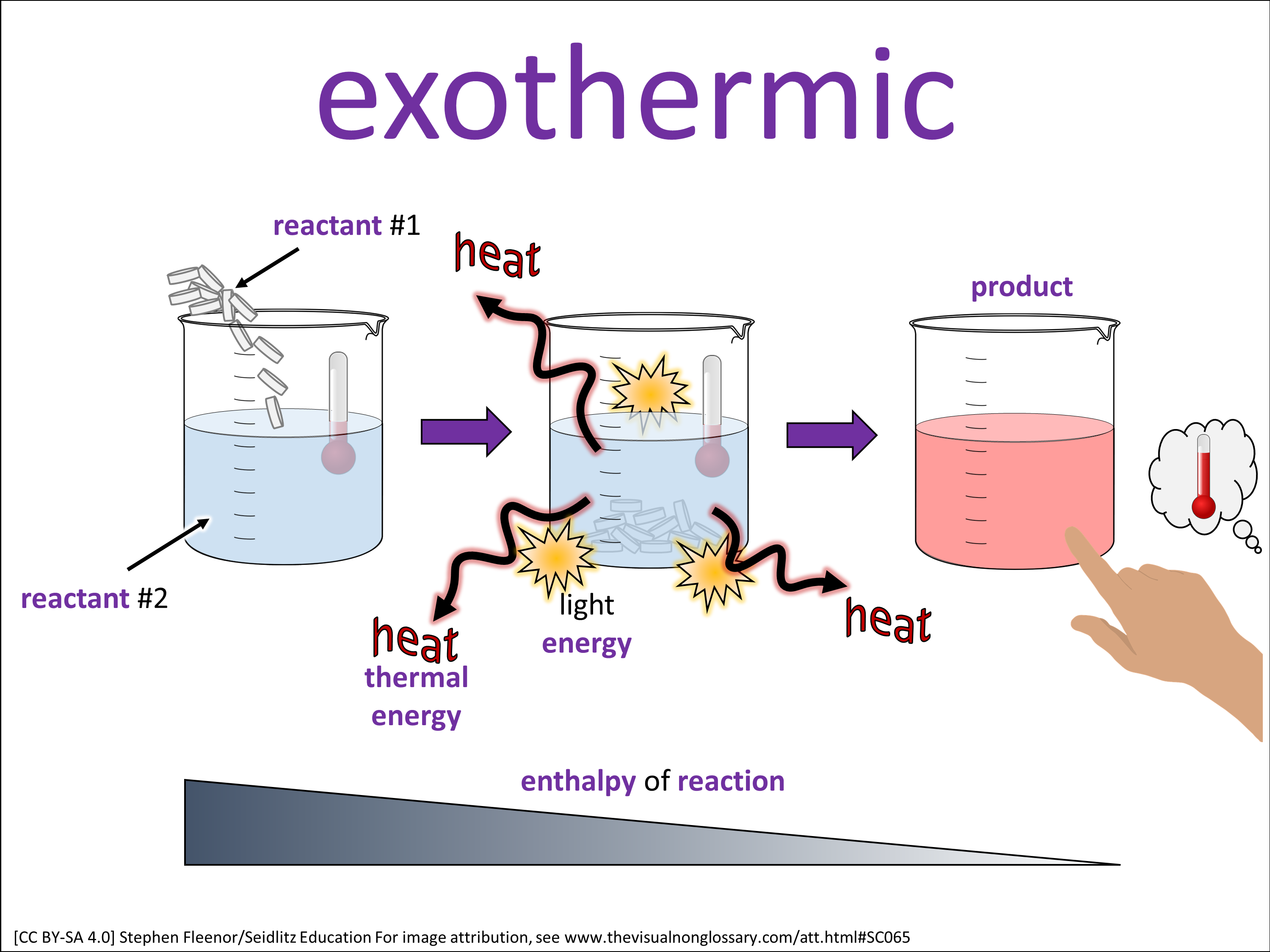 Vocab Visual