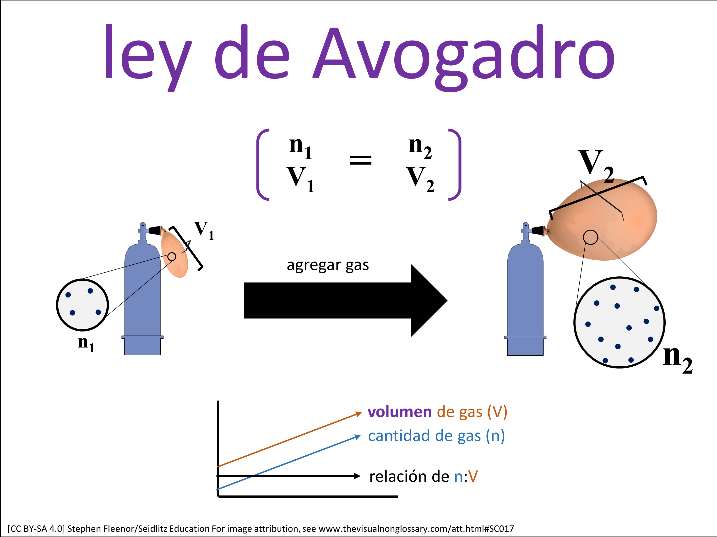 Vocab Visual