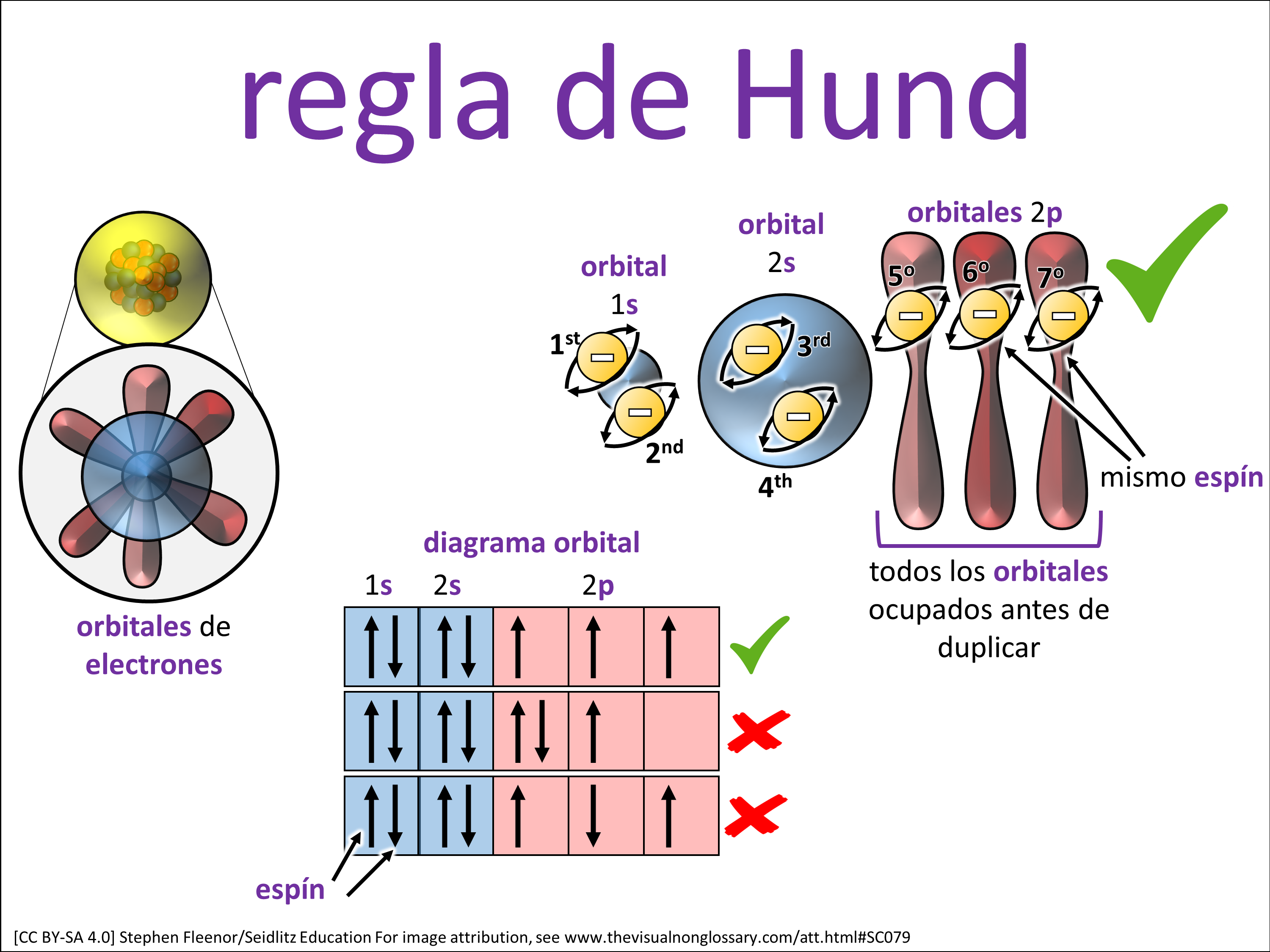 Vocab Visual
