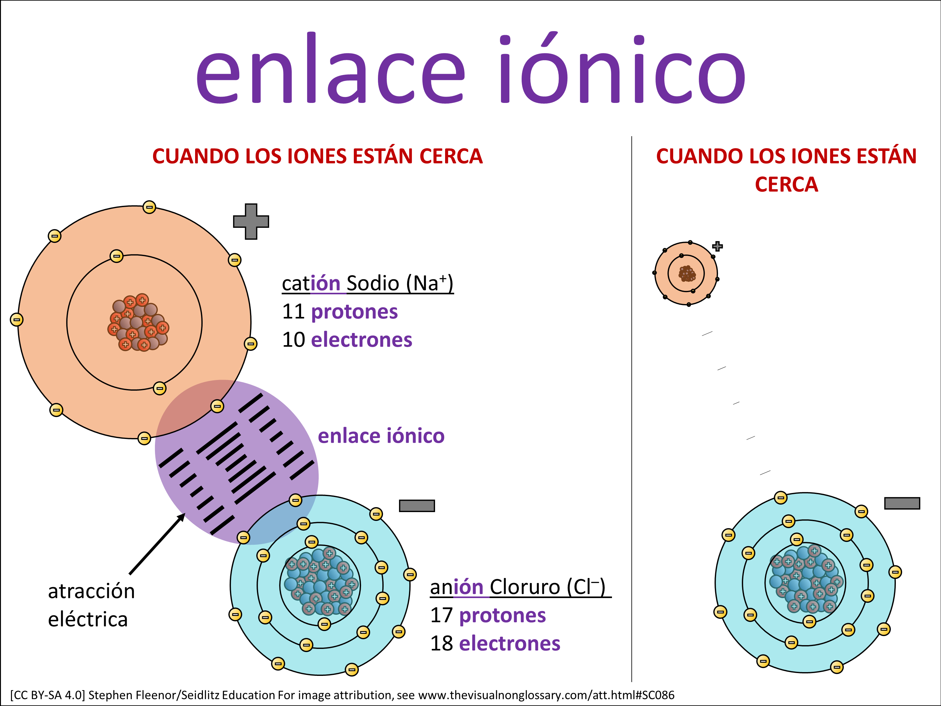 Vocab Visual