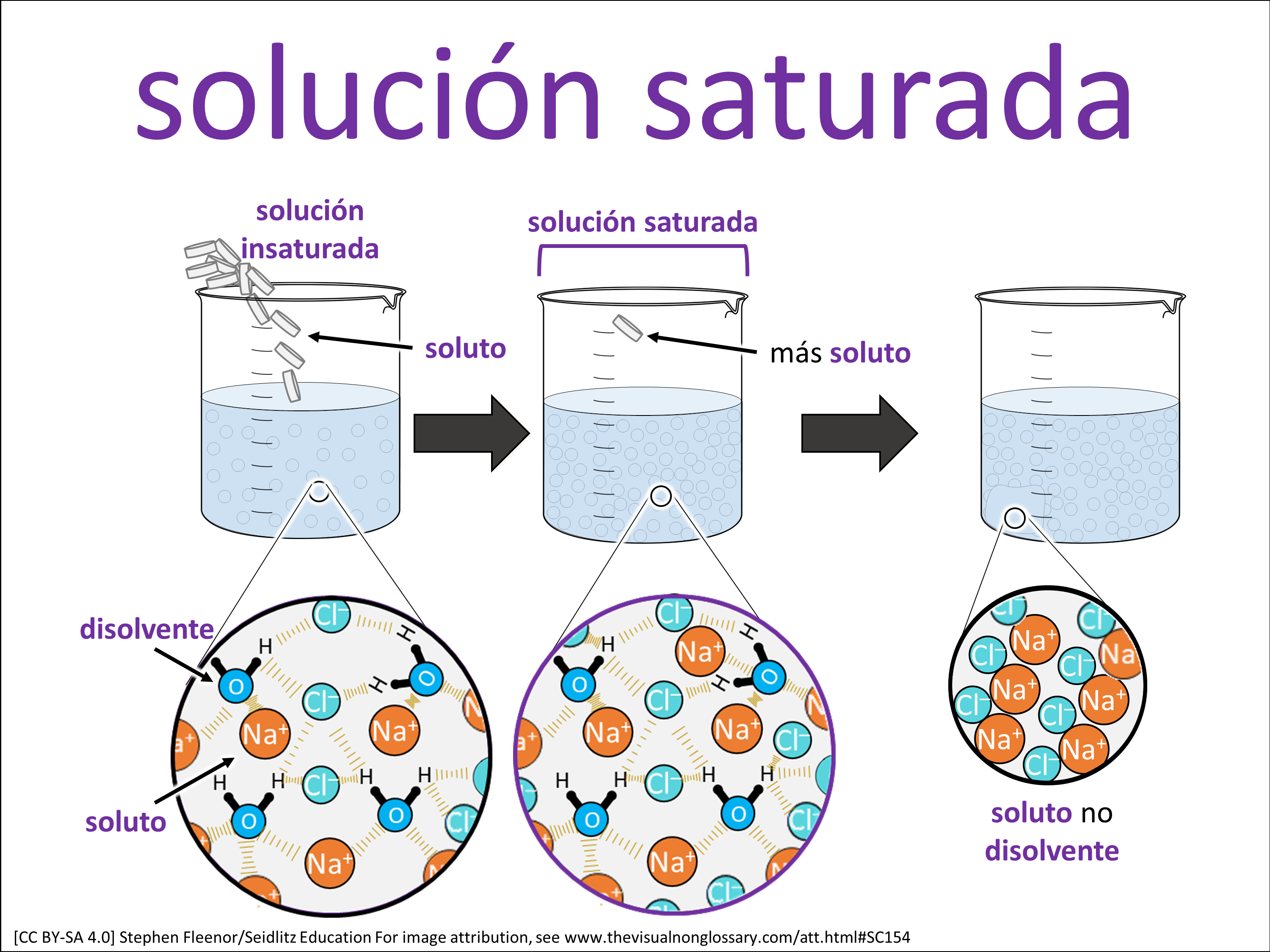 Vocab Visual