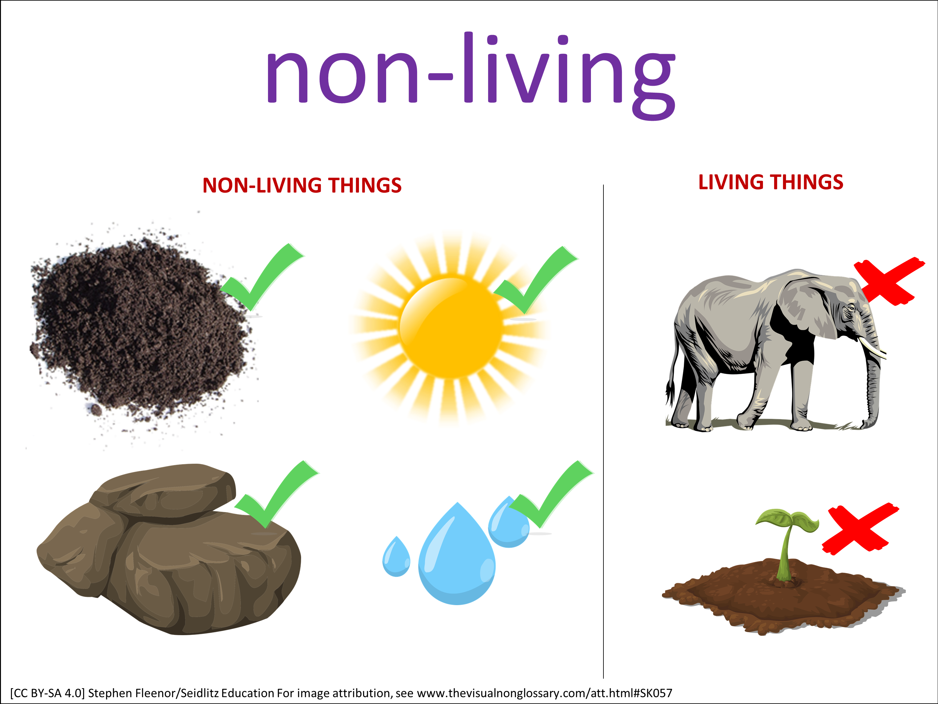 Vocab Visual