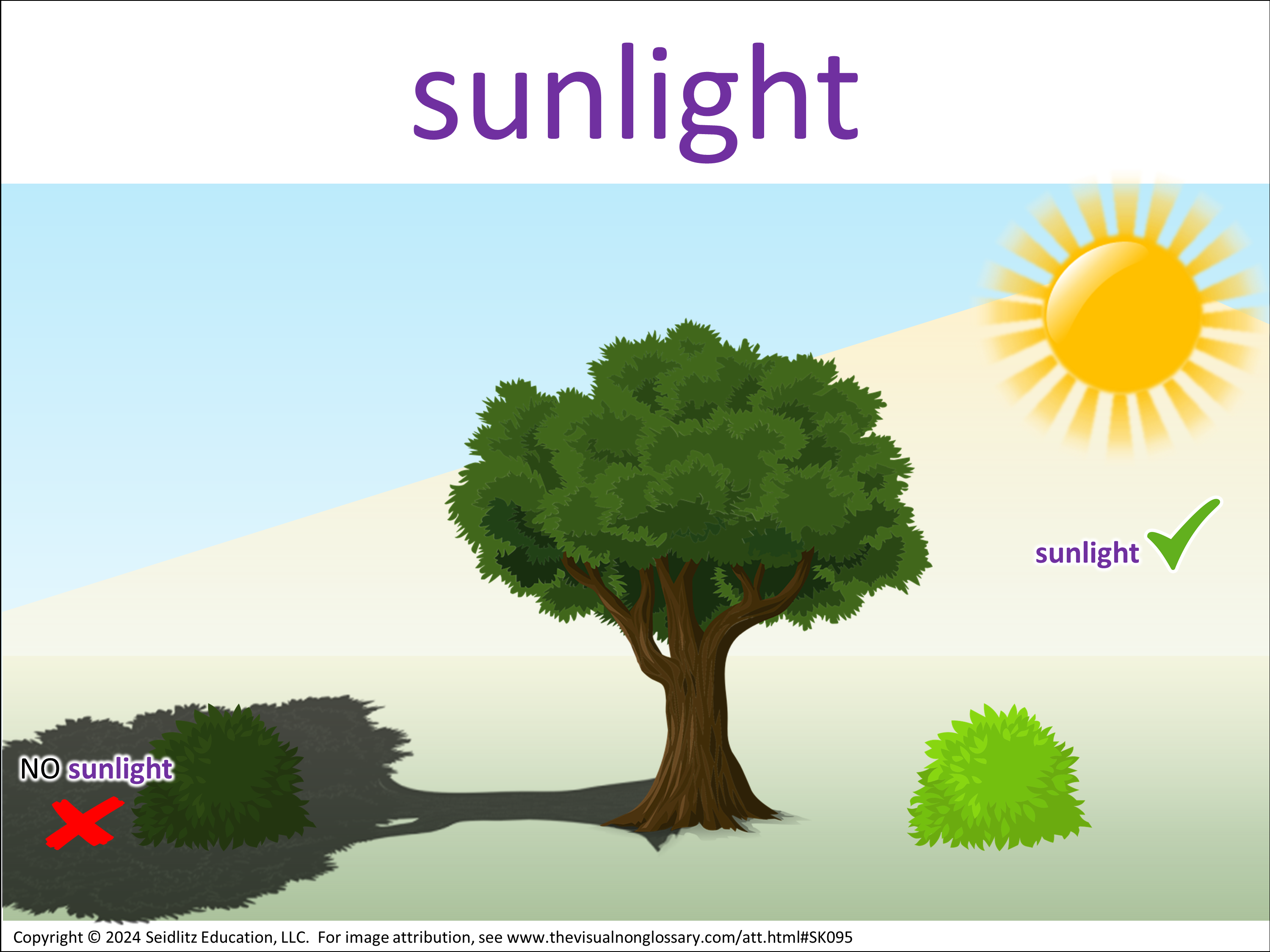 Vocab Visual