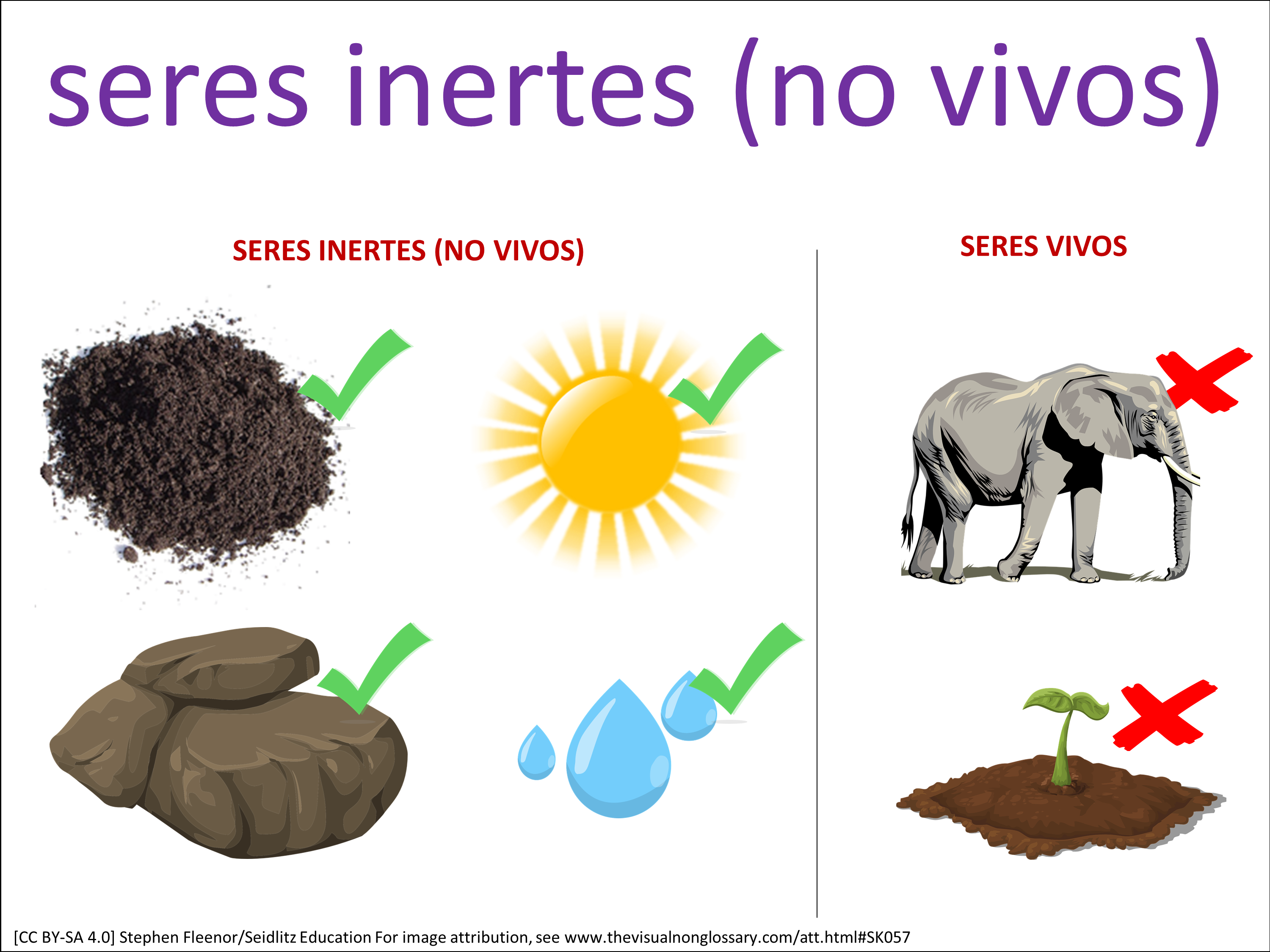 Vocab Visual