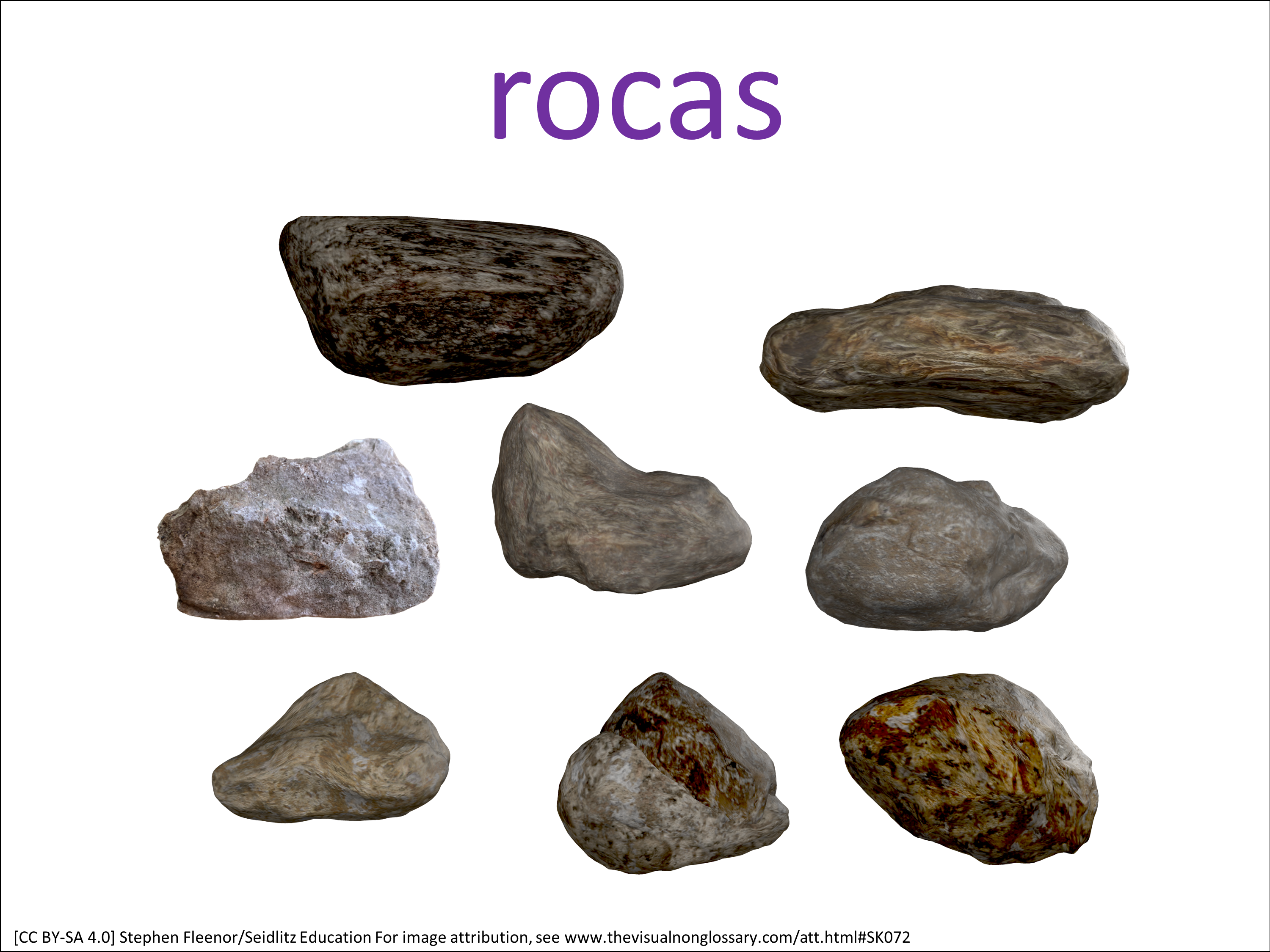 Vocab Visual