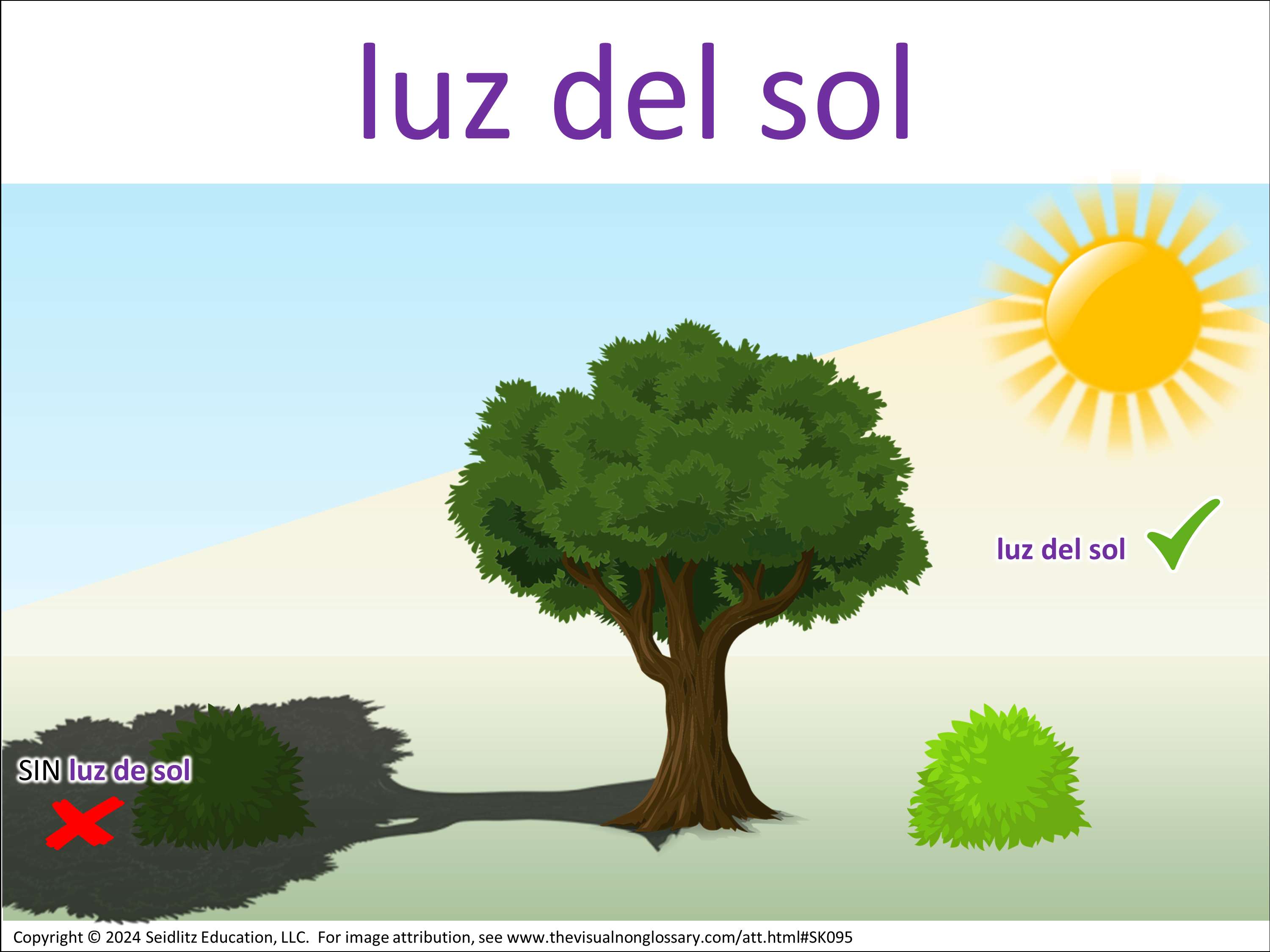 Vocab Visual