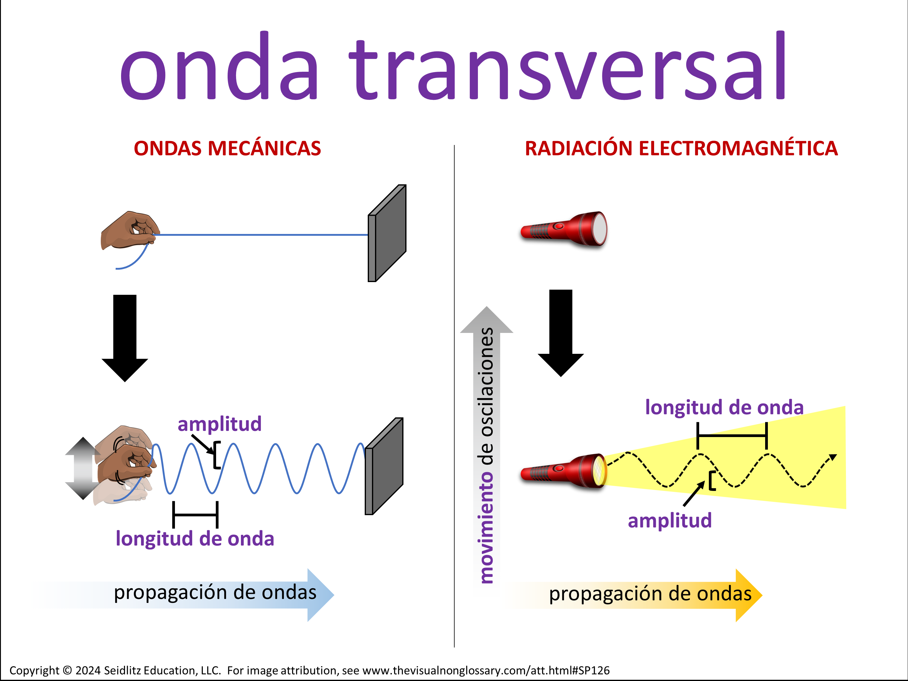Vocab Visual
