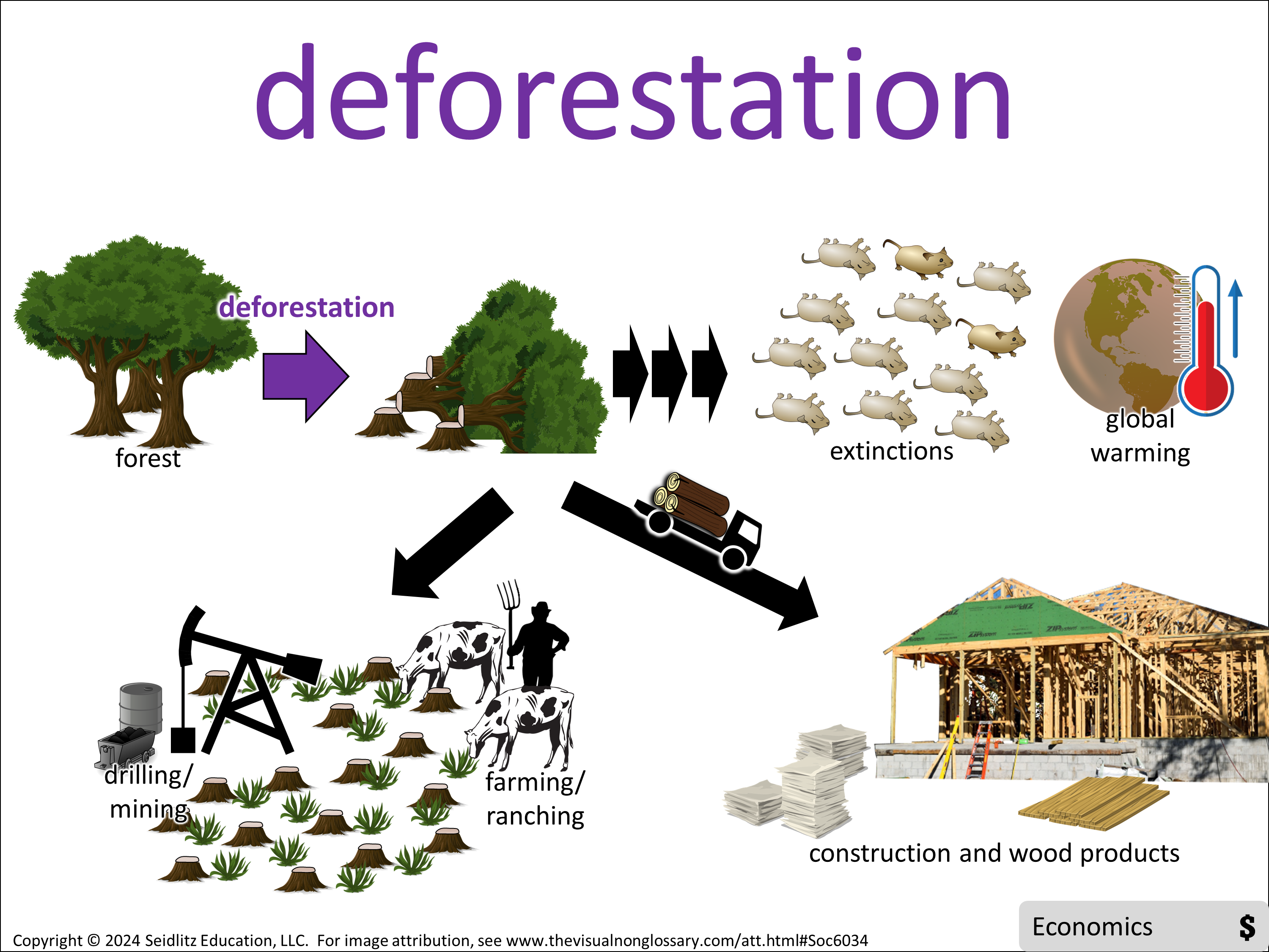 Vocab Visual
