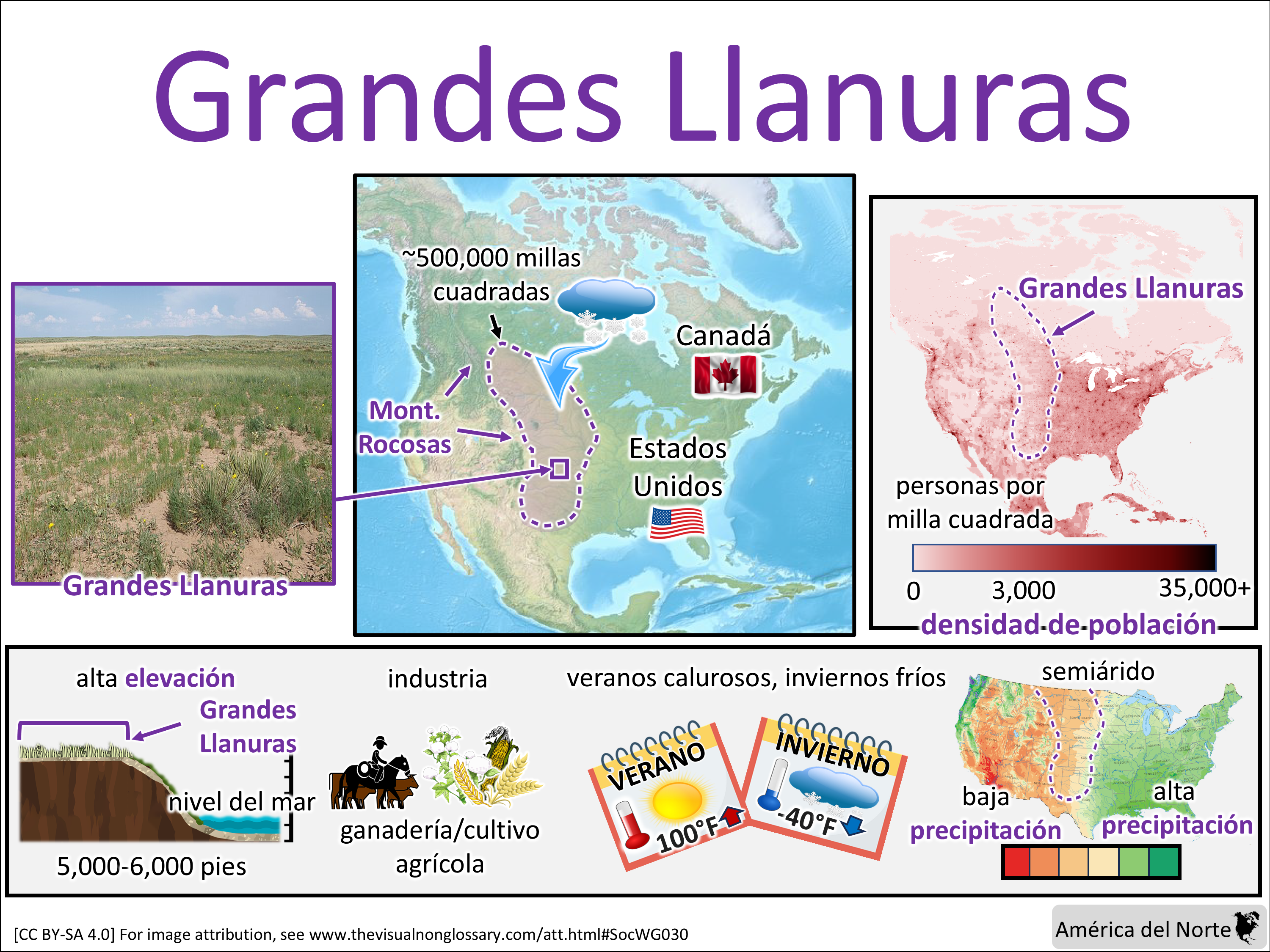 Vocab Visual